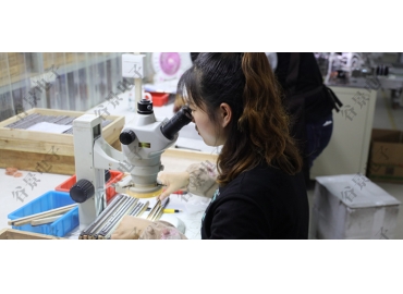 铁氧体电感和共模电感的区别